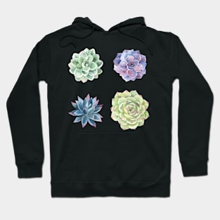 Four Succulents Hoodie